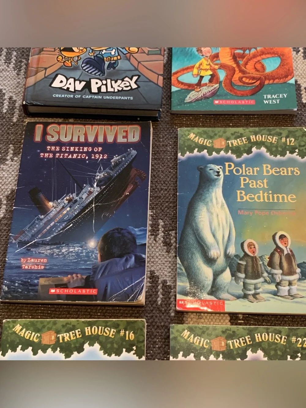 Children's Book Lot - Dog Man, Magic Tree House, Goosebumps, and More
